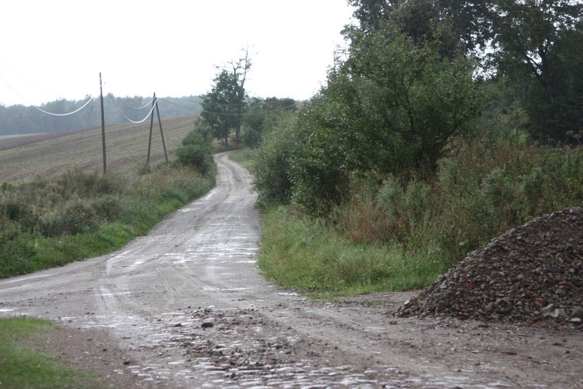 Dirt road - Polna droga