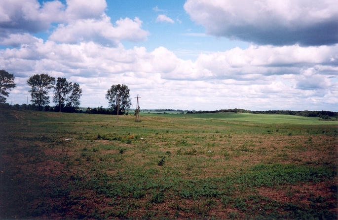 View towards E from the confluence