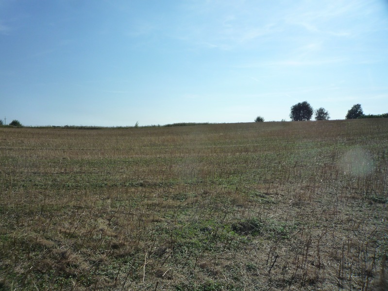 View to the South