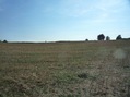 #3: View to the South