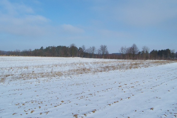 View towards N from the confluence