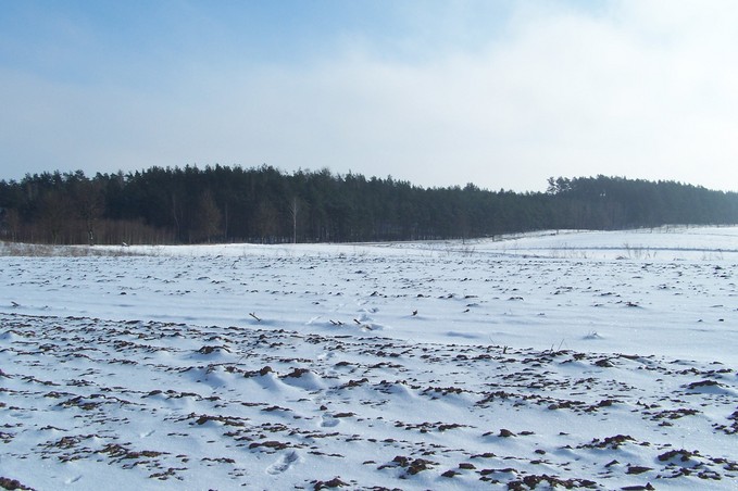 View towards E from the confluence