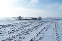 #4: View towards S from the confluence