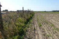 #10: Płot i ledwo widoczna ścieżka wzdłuż niego / A fence and a barely visible path along it