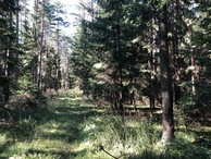 #4: View to the North