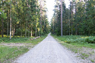 #11: Wygodna droga do punktu, z której po około 1350 metrach należy skręcić w ścieżke leśną / Road to the CP