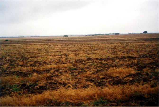 Rain and mud to the West