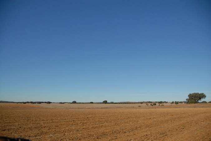 View north / Blick nach Norden