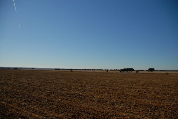 View west / Blick nach Westen