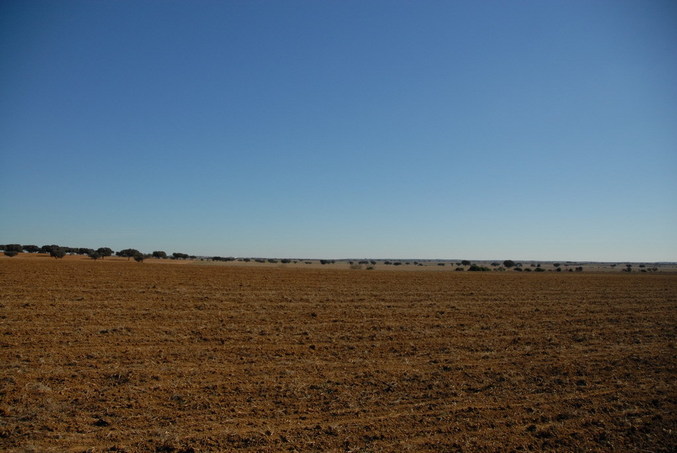 View east / Blick nach Osten