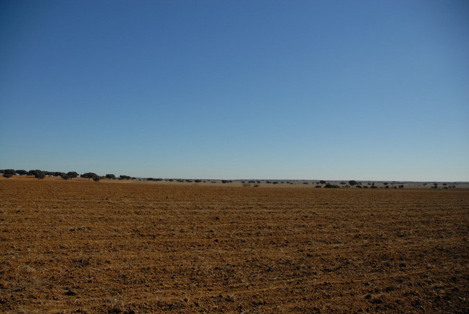 View east / Blick nach Osten