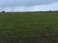 #5: View to the West