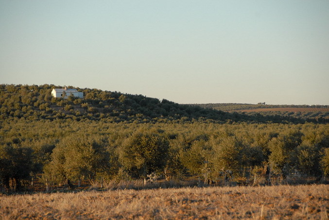 View north / Blick nach Norden