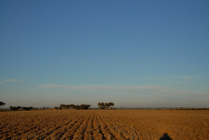 View south / Blick nach Süden
