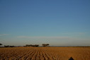 #4: View south / Blick nach Süden