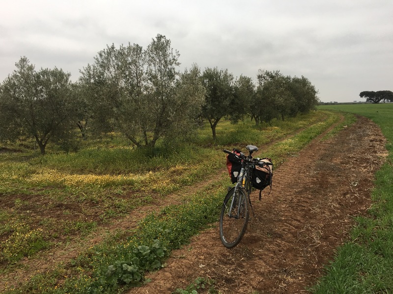 Bicycle parking at the roadside