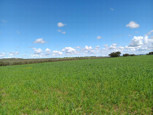 #1: Norden; view north