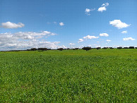 #2: Osten; view east