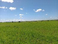#3: Süden; view south