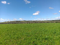 #4: Westen; view west