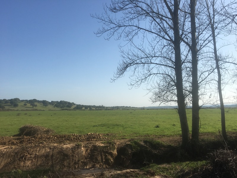 The Confluence from 88 m distance