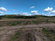 #2: Osten; view east