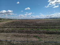 #3: Süden; view south