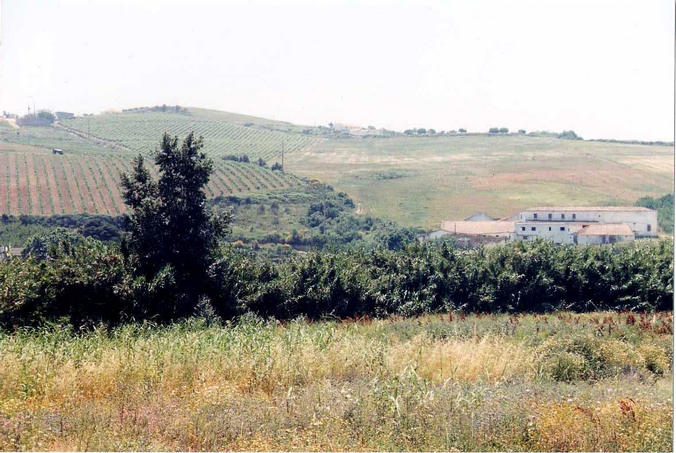 View from across the valley looking south. Confluence is half way between large house and elec.pole IN BRAMBLES!