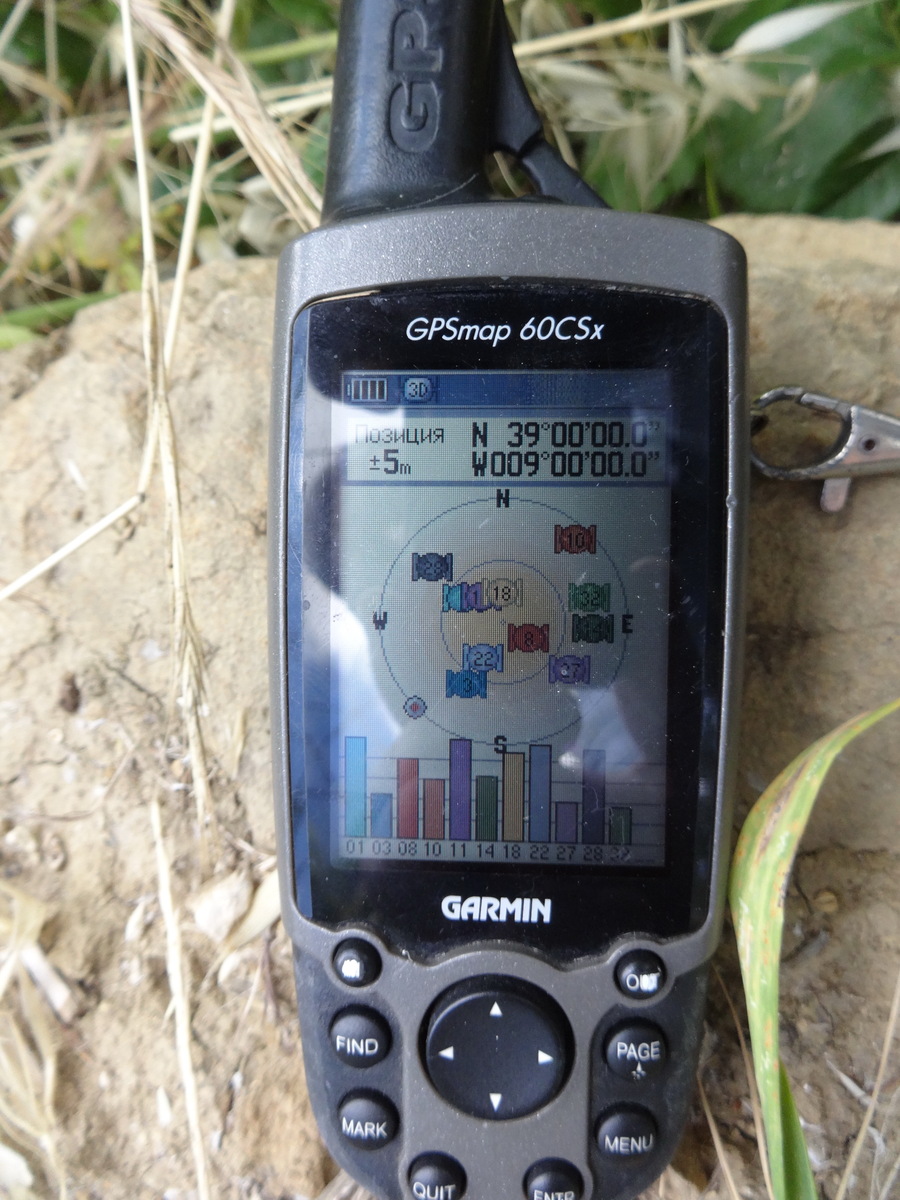 GPS reading