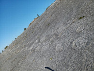 #10: Ourem, Dinotraces - close up