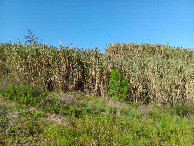 #9: CP from approx. 25 meters