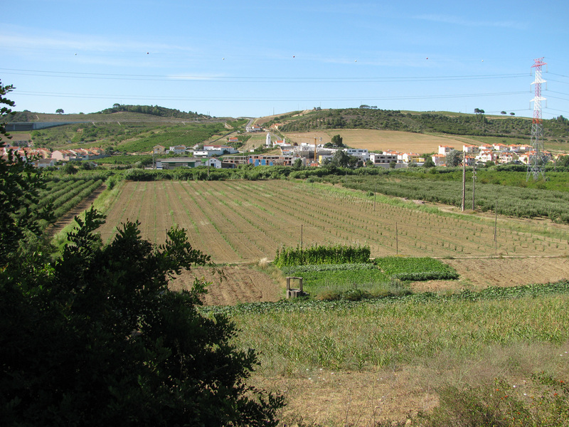 39º / 9ª view to the north