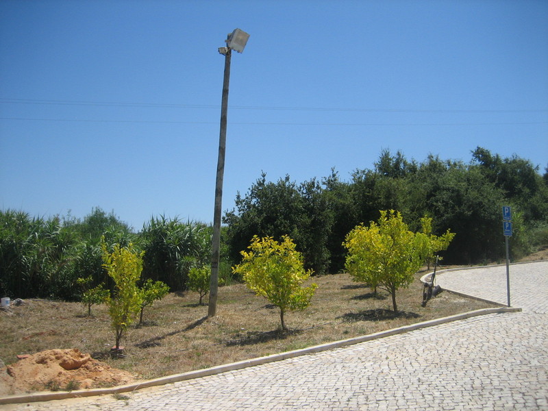 Confluencia / Confluence