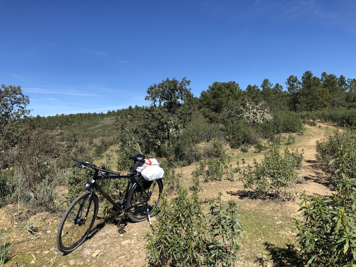 Bicycle parking in 62 m distance