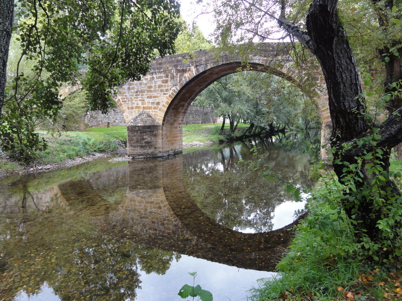 Medieval bridge in Gois
