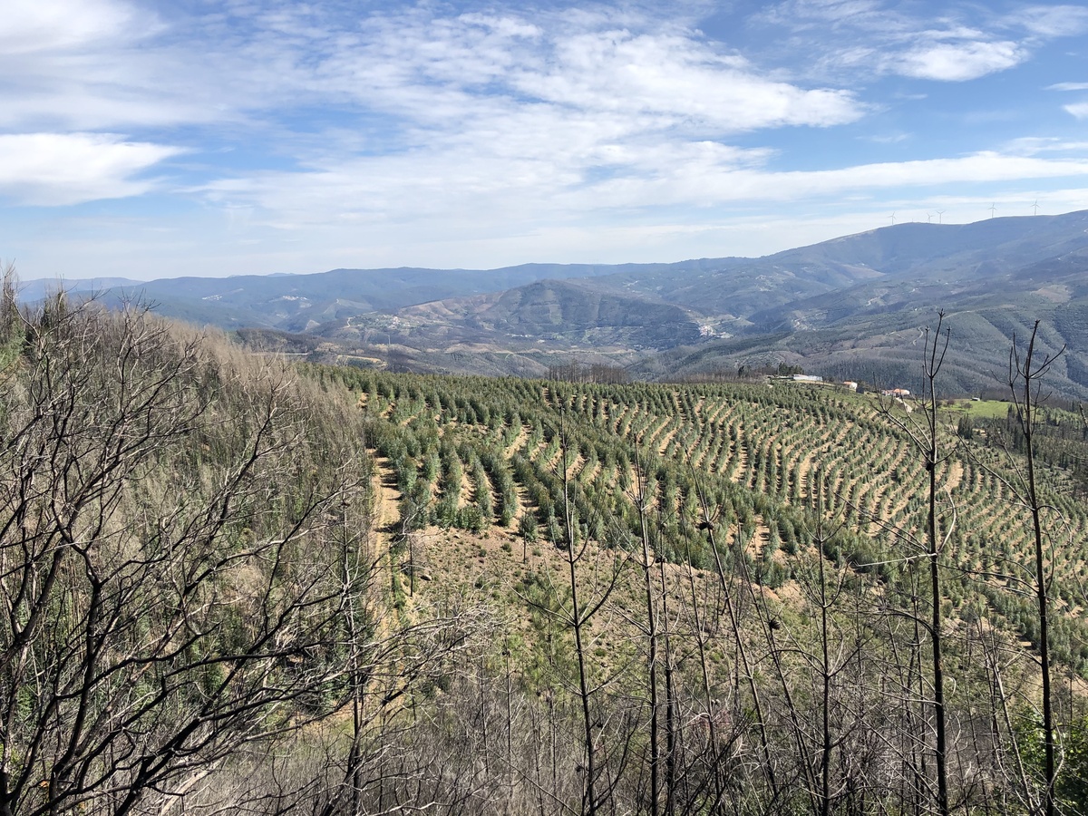 View from the main road in 150 m distance