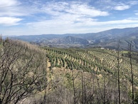 #10: View from the main road in 150 m distance