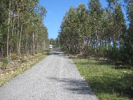 #7: parking on way back