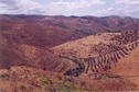 #4: West, looking down on the Aguiar stream