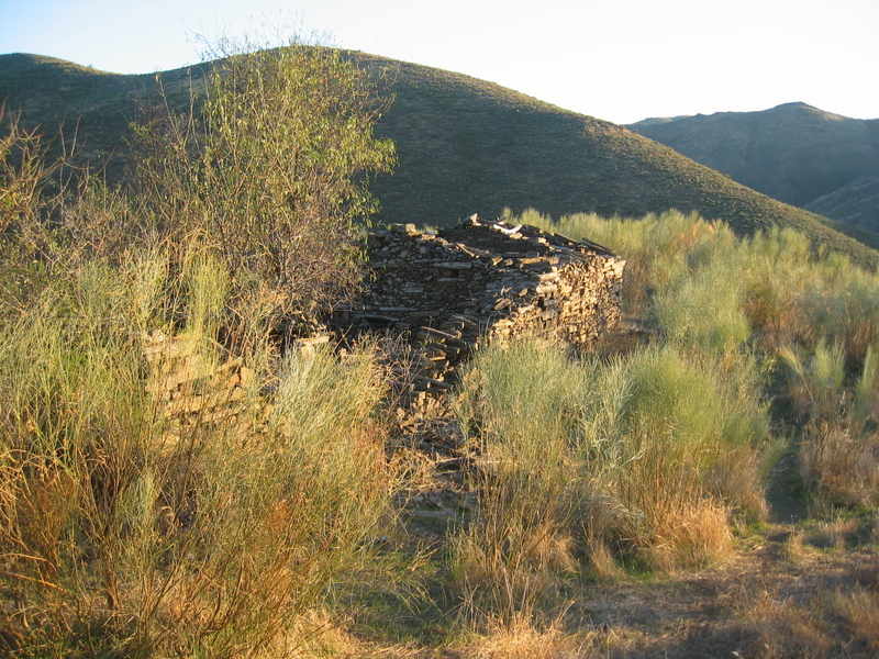 Abandoned House