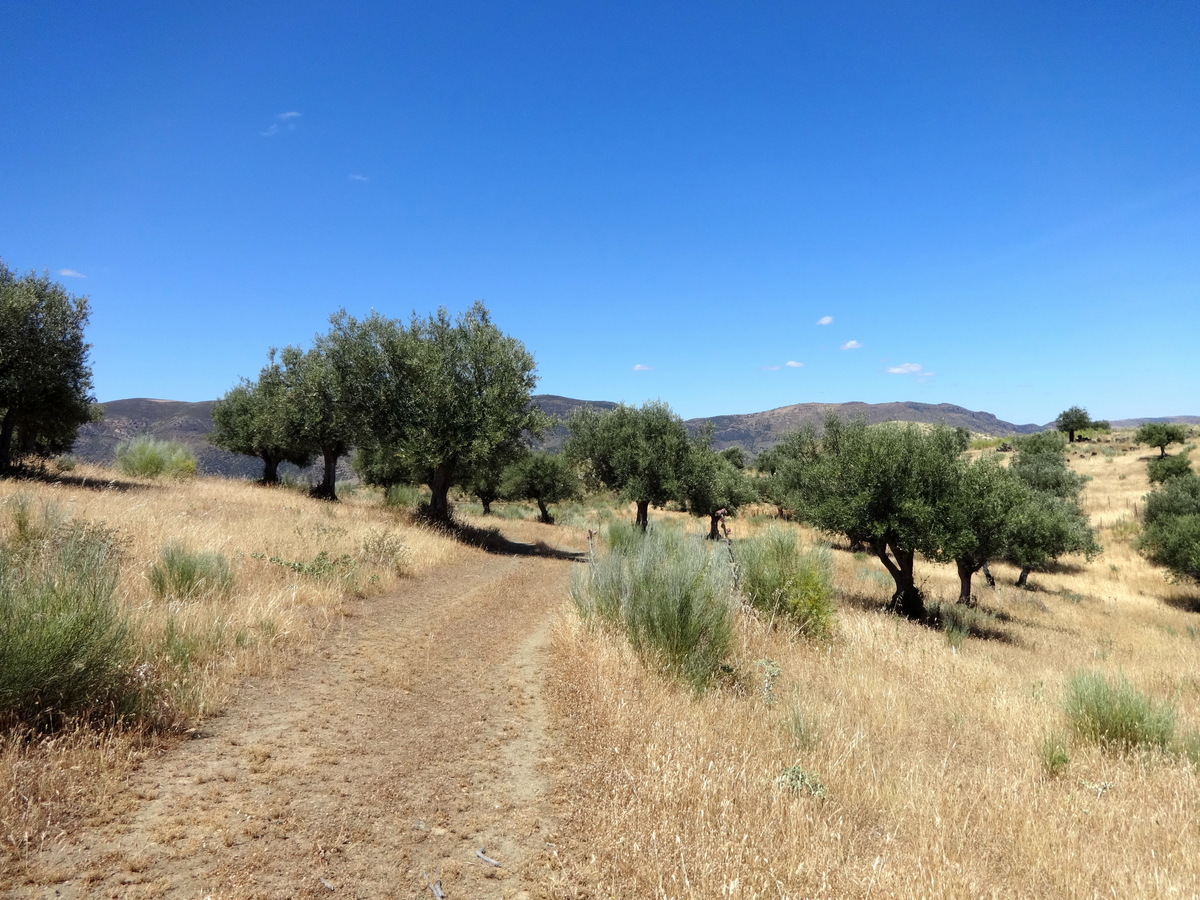 A road at the beginning of our hike / Дорога вначале нашего пути