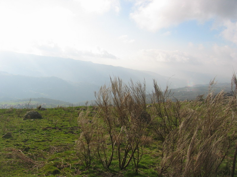 View to the West