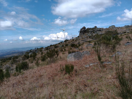 #1: Norden; view north