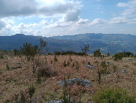 #4: Westen; view west