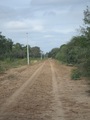 #8: Ranch access road en route to confluence