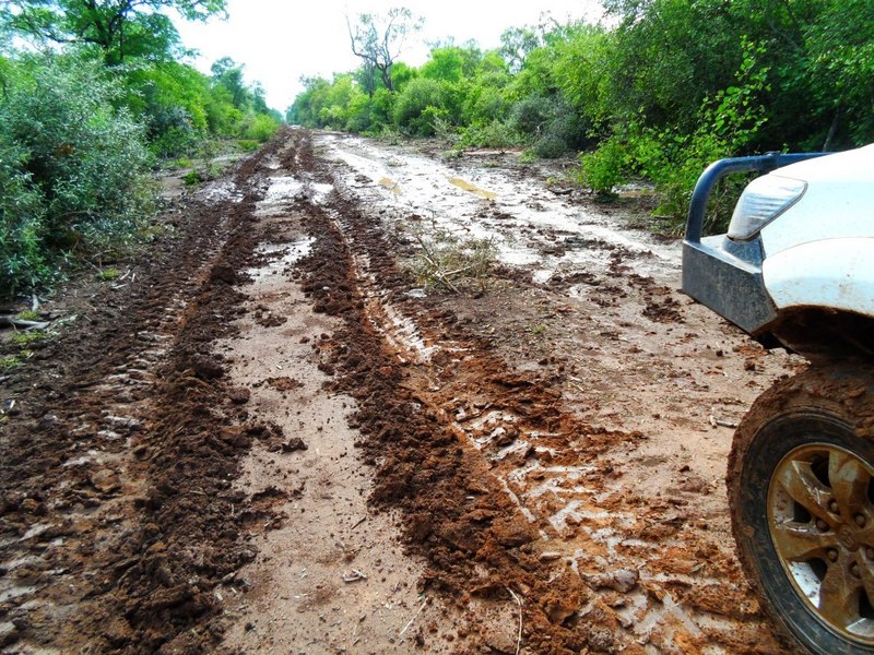 Camino después de la precipitaciones. Road after rains