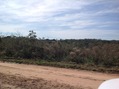 #5: East