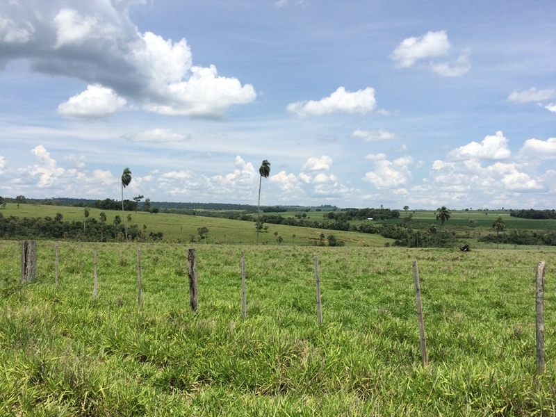 Visão leste - east view - vista este