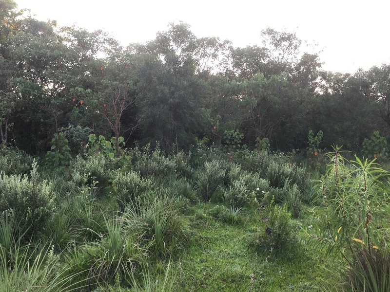 The Confluence from 40 m distance