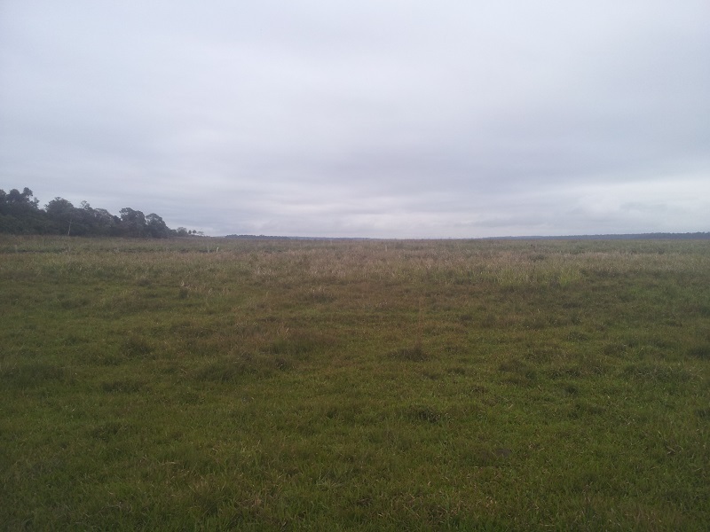 VISTA NORTE. North view